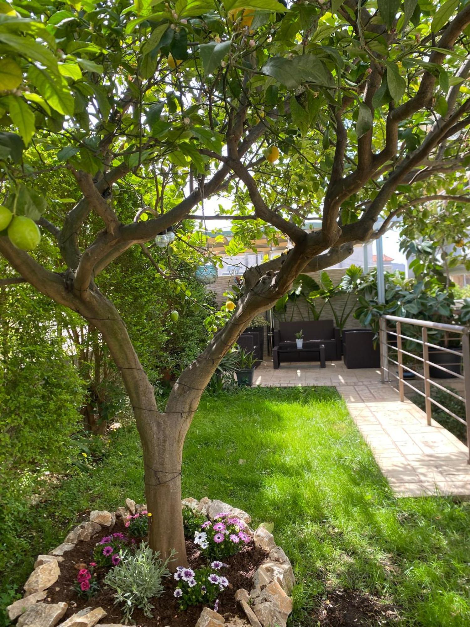 Apartment Near Athens Airport, Rafina Port And Sea Loútsa Exterior foto